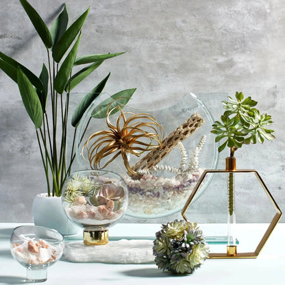 ⏳ Last Day Clearance Sale ⏳BUY 1 GET 1 FREE💐 Ellipse Decorative Vase